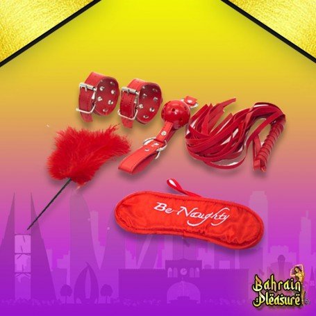 BDSM SEX KIT Bracelet+Whip+Goggles+Feather+Mouth Ball Gag BDSM-001