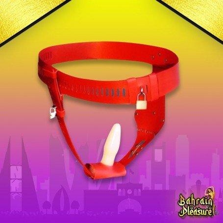 Chastity Lock Device for Women BDSM-002