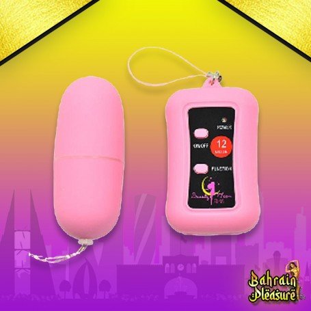 Remote Control Vibrating Egg BV-003